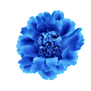 perfume-boost-vesh